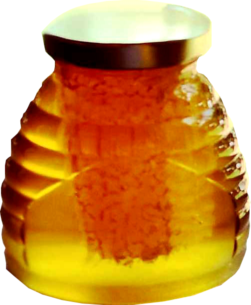 Panal de miel de trozos crudos 100% puro en frasco de miel cruda 1 libra. -   México
